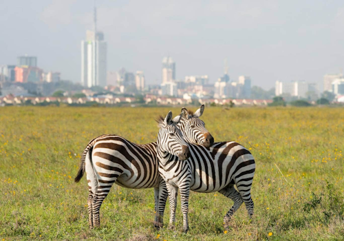 Nairobi National Park with the city skyline