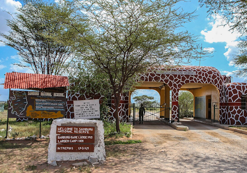 Samburu National Reserve landscape