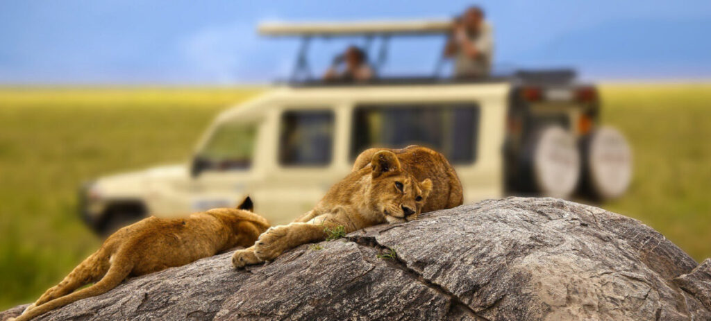 Endless plains of Serengeti National Park
